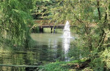 FEWO BEI LEHMANNS - Foto 26