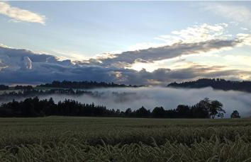 Ferienwohnung Lidwina - Foto 29