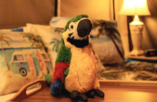 Fabulous West Virginia Glamping Tent - Foto 12