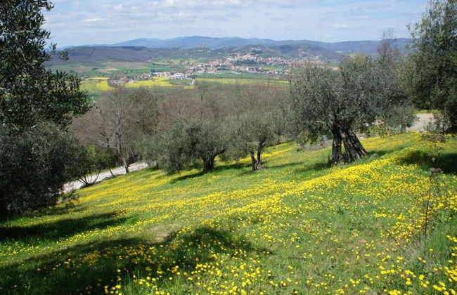 Umbria Family Holiday Retreat - Foto 30