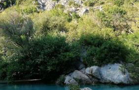 Olive Garden Studio - Foto 34