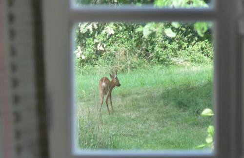 Demeure du XVIIIème siècle - Vallée Vézère - Photo 18
