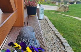 DOMKI KOLOROWE - Foto 80