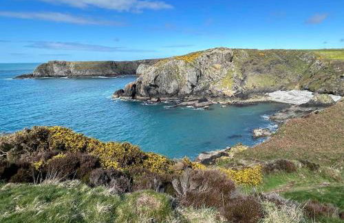 Cuddfan Fach - Pembrokeshire Stunning Barn near the Coastal Path - Foto 11