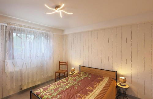 Gite avec terrasse proche Gérardmer tout inclus - Foto 10