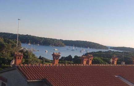 Villa Milan - Foto 47