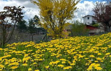 Villino Cecchini - Foto 27