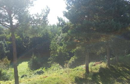 Apartamenty Warka - Foto 11