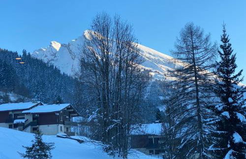 Les bouquetins - Foto 1