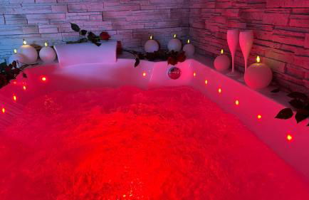 Loft sauna balnéothérapie - Foto 50