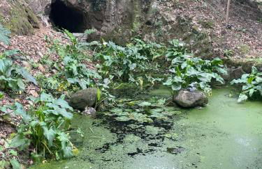 Quinta do Rio Douro - Turismo Rural - Foto 39