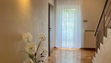 Agroturystyka JAGODA - Foto 4