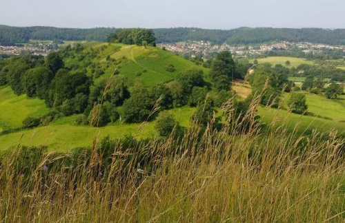 Best of both worlds, trees & town - Foto 13