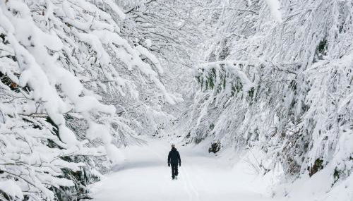 Partacua by BeValle - Foto 5