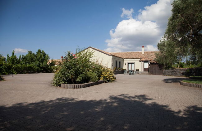 L'Antica Vigna - Photo 36