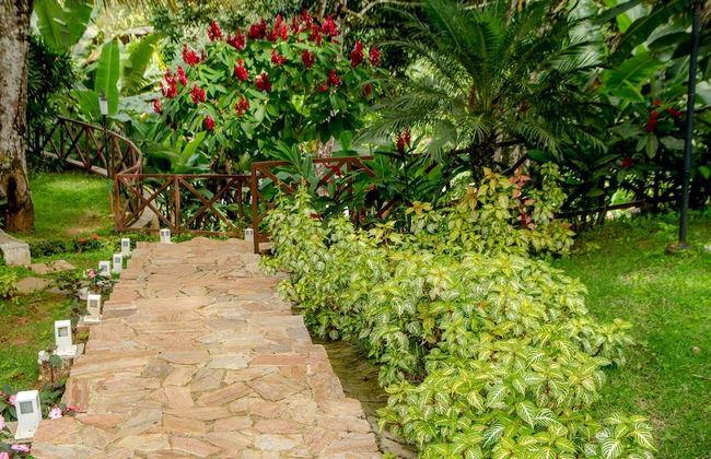 Hotel Cantinho Das Flores - Photo 48