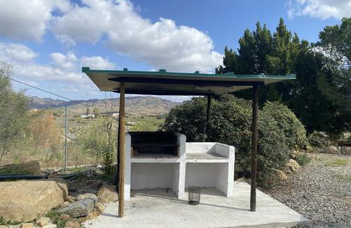 LAS PALMERAS - Foto 41