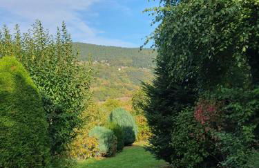 Le Chant du Loriot - Foto 26