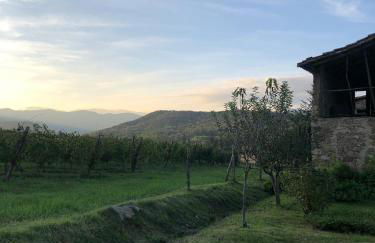 Masia Quelet - Foto 32