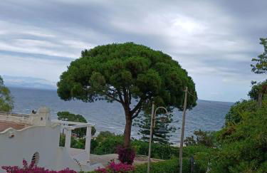 Amici di Villa Point Intera Villa - Foto 47