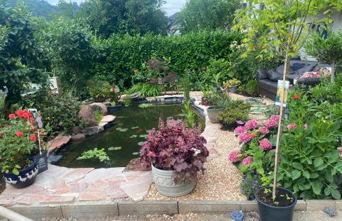 Pension mit Moselblick - Foto 45