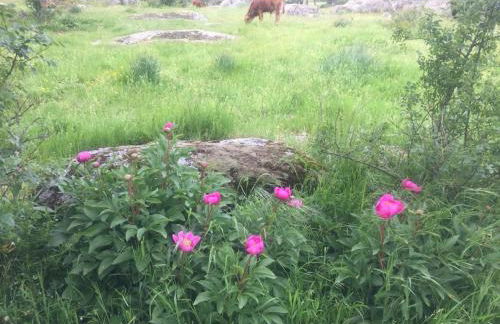 Casa La Taratola - Photo 35