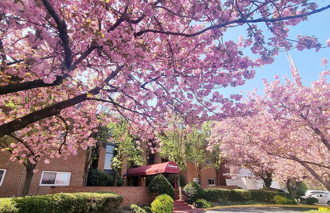 Amazing 2 Bedroom 2 Bath Condo - Foto 19