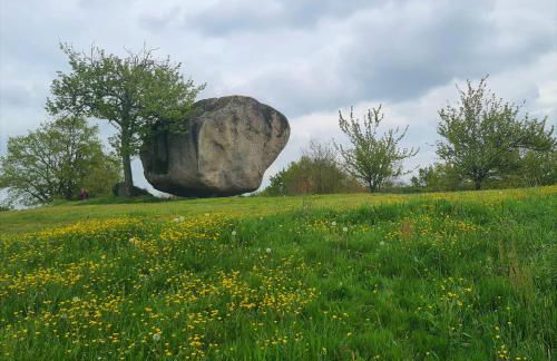 Gîte à SAINT ANDRE DE LA MARCHE proche du Puy du foù - Photo 13