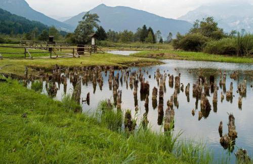 Casa Silvano - Foto 26