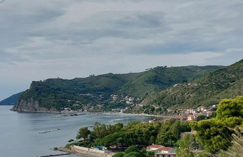 Tenuta Belvedere Cilento - Foto 56