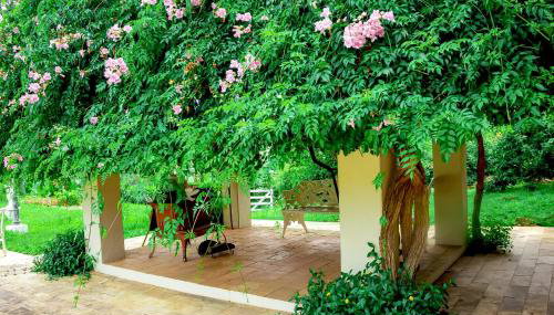 Fazendinha Nossa Senhora da Medalha Milagrosa - Foto 5, Garden