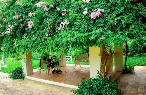 Fazendinha Nossa Senhora da Medalha Milagrosa - Foto 5