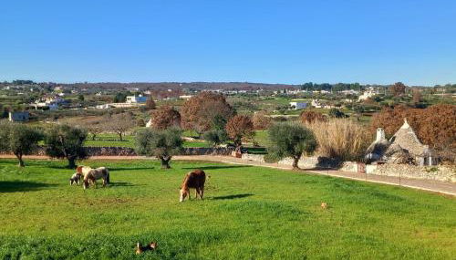Casa tra i Trulli - Foto 3