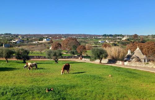 Casa tra i Trulli - Foto 3