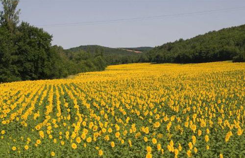 Domaine de la durantie - villa avec jacuzzi - Photo 20