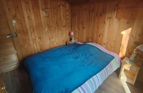 Chalet l Abondance - Photo 14