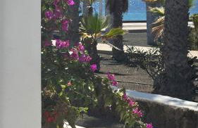 Sweet Bungalow Matagorda - Foto 25