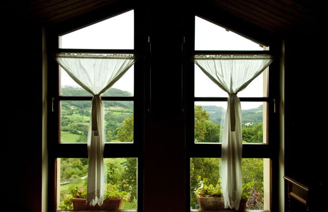 Trisqueles y Buganvillas - Photo 22