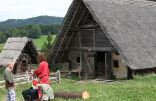 Holiday Home Marco in Eppenschlag by Interhome - Foto 25