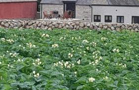 Ballykeel Farm, Mourne Mountains - Photo 13