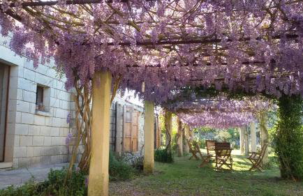 Masseria Copertini - Foto 11