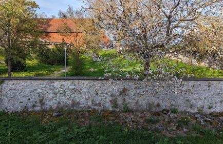 Ferienhaus am Schloßpark - Foto 16