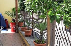 Il Ragno D`Oro - Foto 7