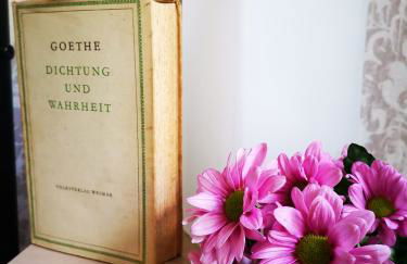 Landidylle Mertensdorf - Ferienwohnung - Foto 14