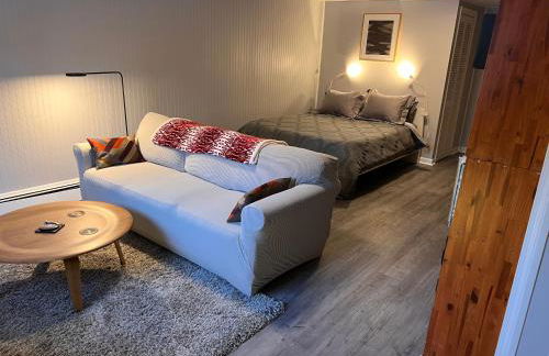 Mid-Century DJs Dream near Rhinebeck - Photo 8