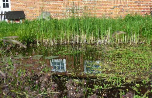 Gut Kattenhöhlen - Foto 12