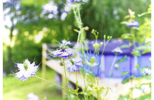 Le Gîte des Cimes - Foto 25