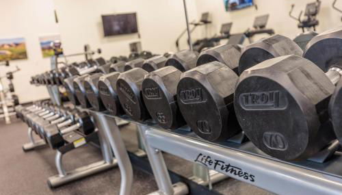 The Painted Horse - Foto 2