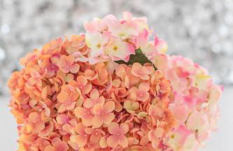 Apartments Zdenka - Photo 12