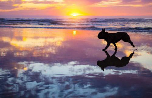 Trendy Getaway - Hot Tub - Putt Putt - Games - Foto 48